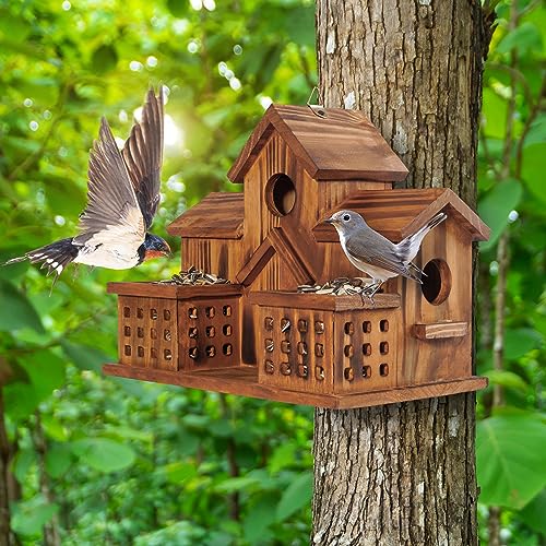 3 Hole Hanging Birdhouse with Bird Feeder T69056