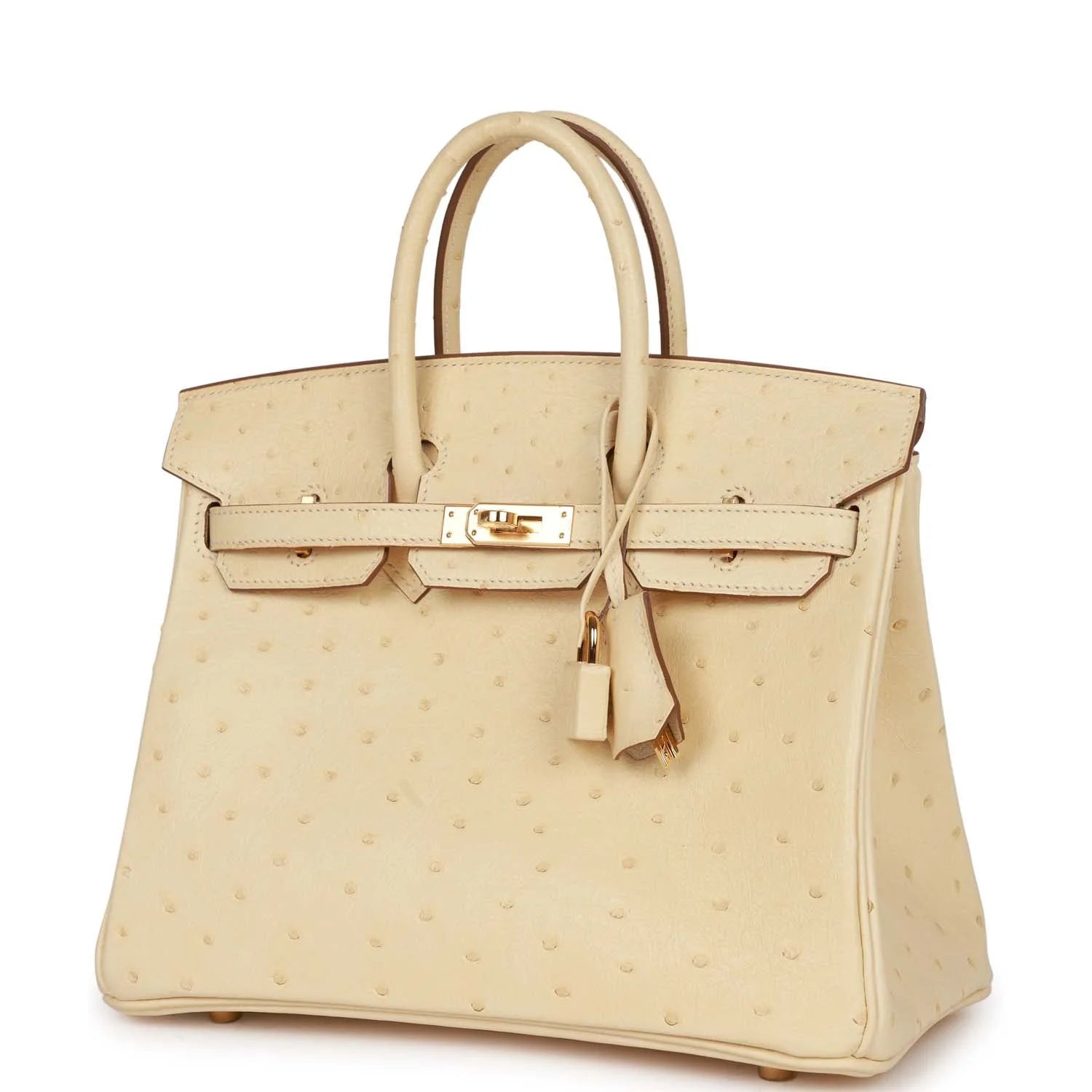 Vanille Ostrich Boreal Gold Hardware Birkin 25 H705