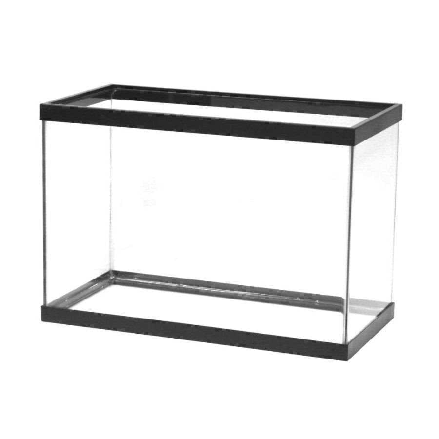 All Glass Aquarium Z194559