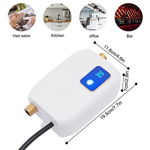 3000W Portable Electric Instant Tankless Water Heater, 110V H6500