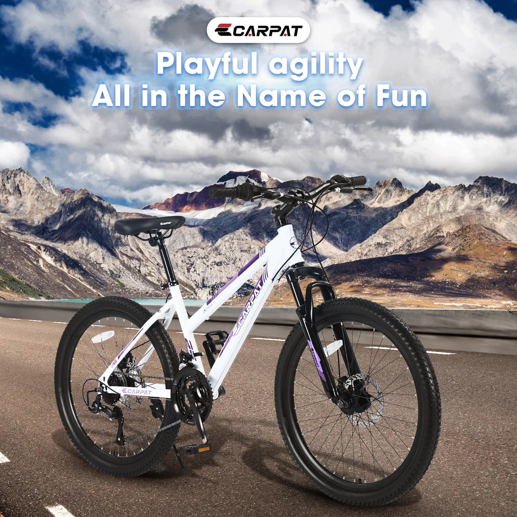 24 inch Mountain Bike with 21 Speeds Gear and Dual Disc Brakes M69189