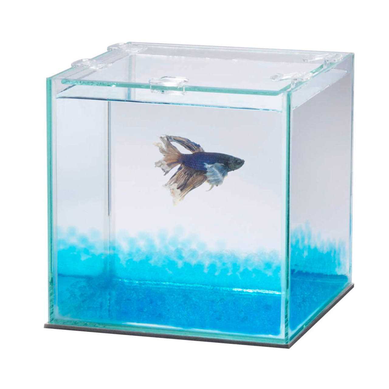 Pure Betta Beads V916