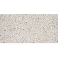 Bianco 12 x 24 Tile T95770