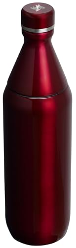 20 oz Insulated Stainless Steel Water Bottle with Twist off Lid C30176