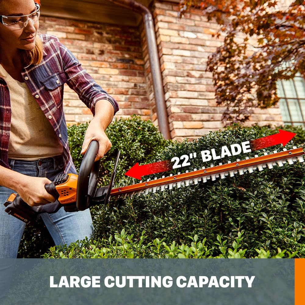 20V Cordless Grass Hedge Trimmer C798