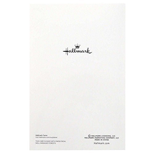 Boxed Christmas Cards, 40 Cards and 40 Envelopes S55863