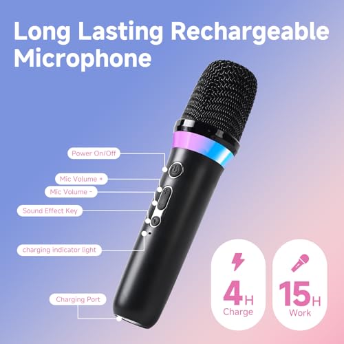Dual Handheld Rechargeable Karaoke Microphone with 3.5mm Aux in and Out Receiver, Black Z63244