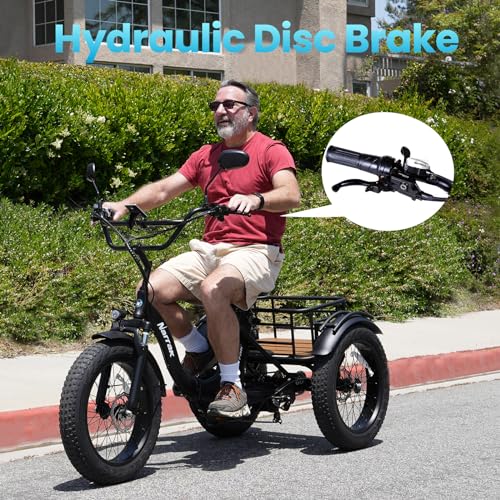 750W 48V13Ah 20"x4.0" Aluminum Folding Fat Tire 3 Wheel Electric Trike X2756
