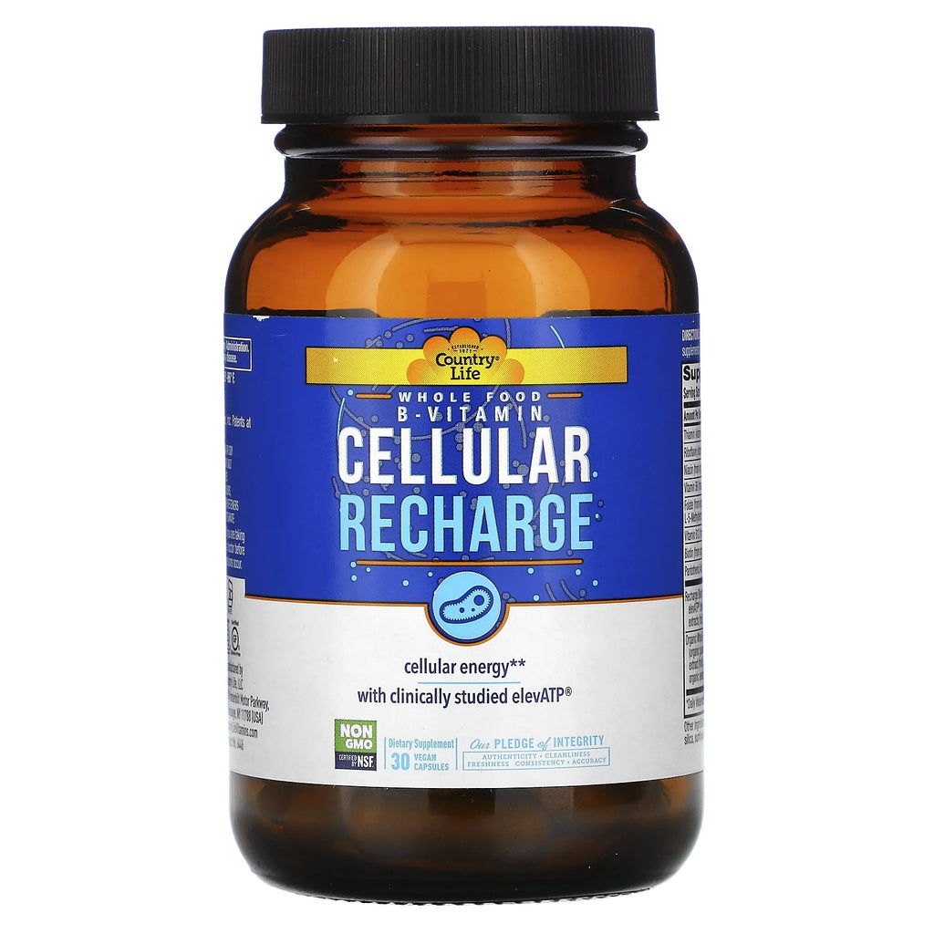30 Vegan Capsules B-Vitamin F727