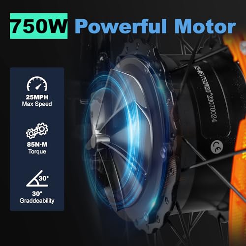Electric Trike 20" Fat Tire 750W 48V 31.5Ah Removable Dual Battery 3 Wheel Electric Bicycle with Large Basket N181860