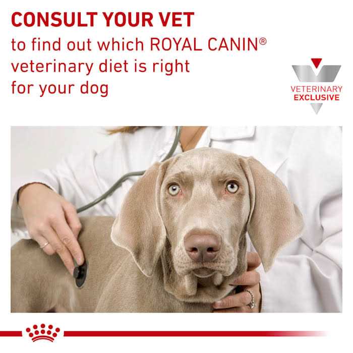 Veterinary Diet Hepatic Canned Dog Food O195973