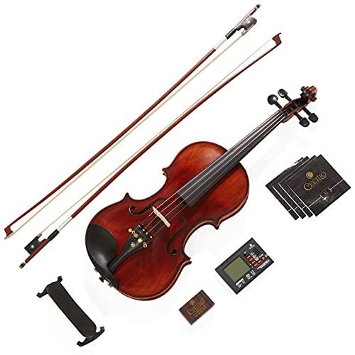 Black Solid Wood 4/4 Violin with Case U3427