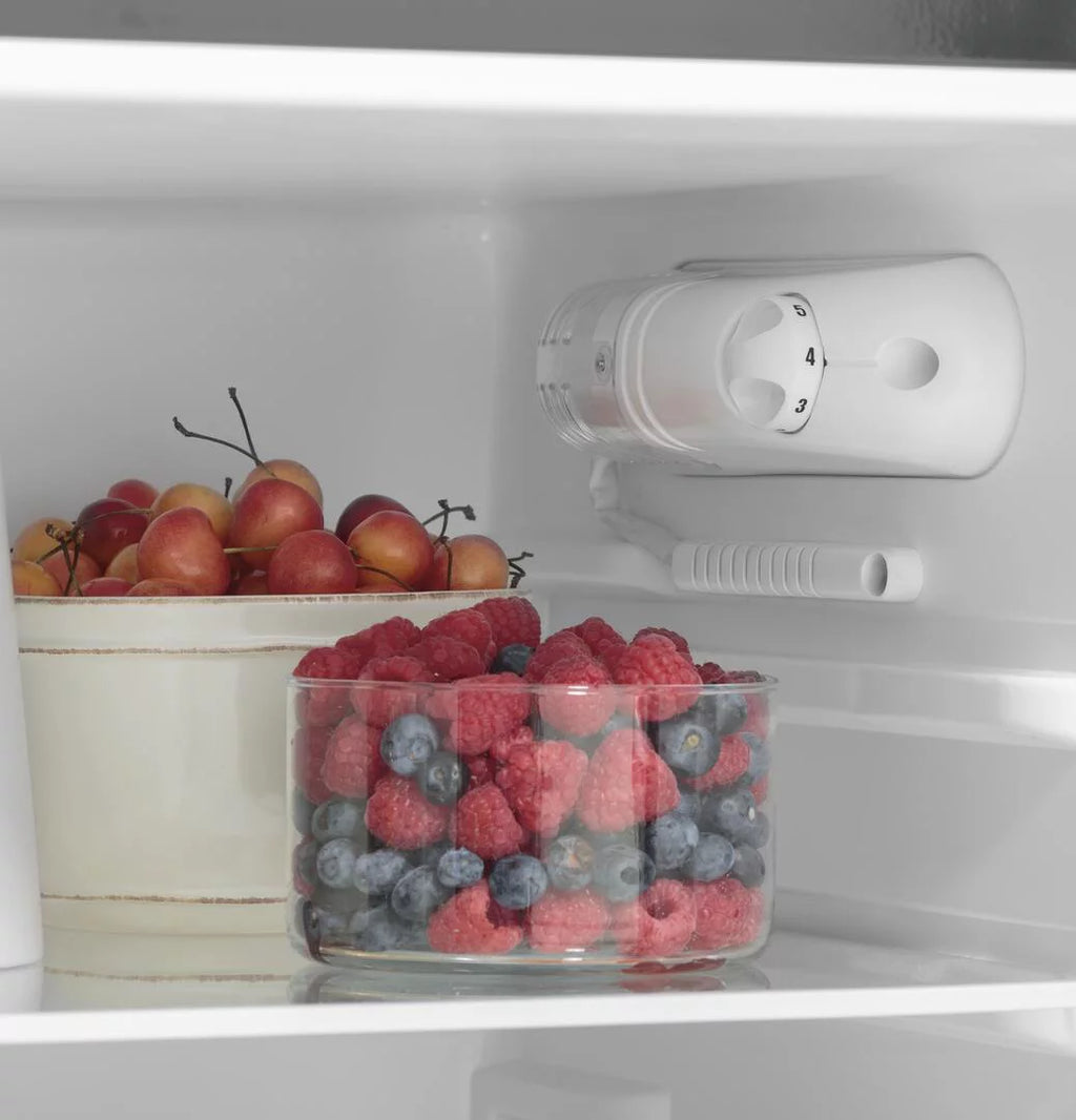 9.8 Cu. Ft. 12 Volt DC Top-Freezer Refrigerator G551883
