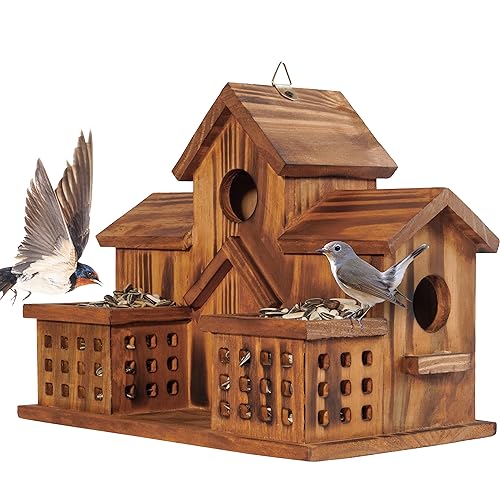 3 Hole Hanging Birdhouse with Bird Feeder T69056