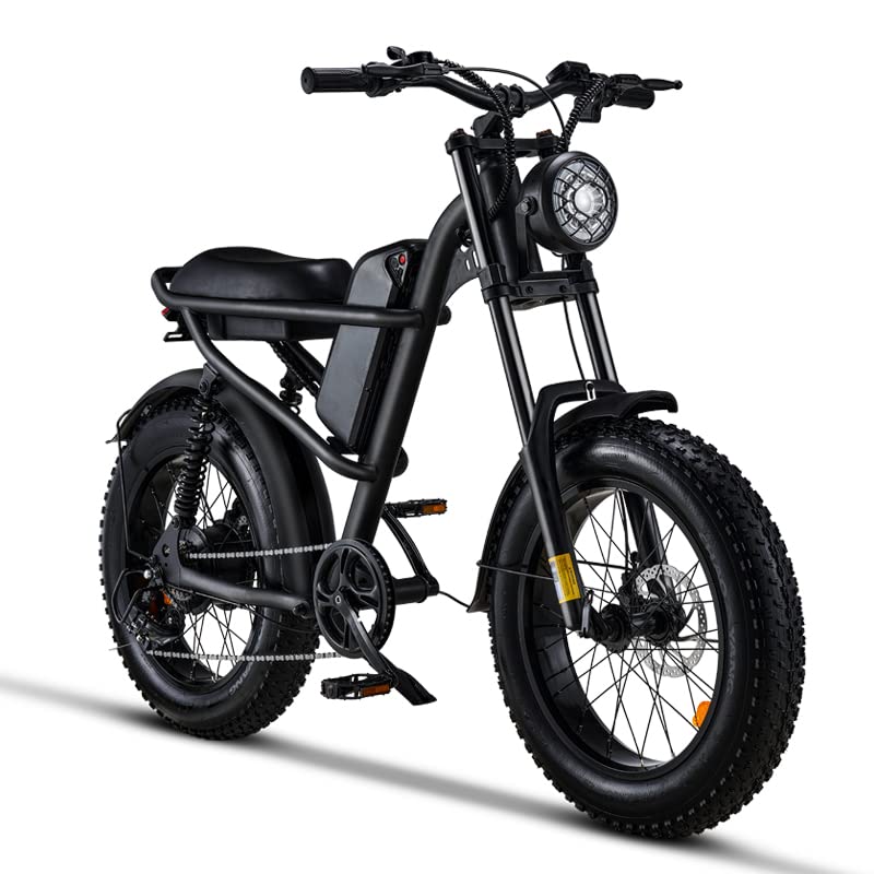 1500W Moped Style Electric Bike, 20 Inch Fat Tire, 6-Layer Full Suspension Ebike, 15.6AH Removable Battery J439108