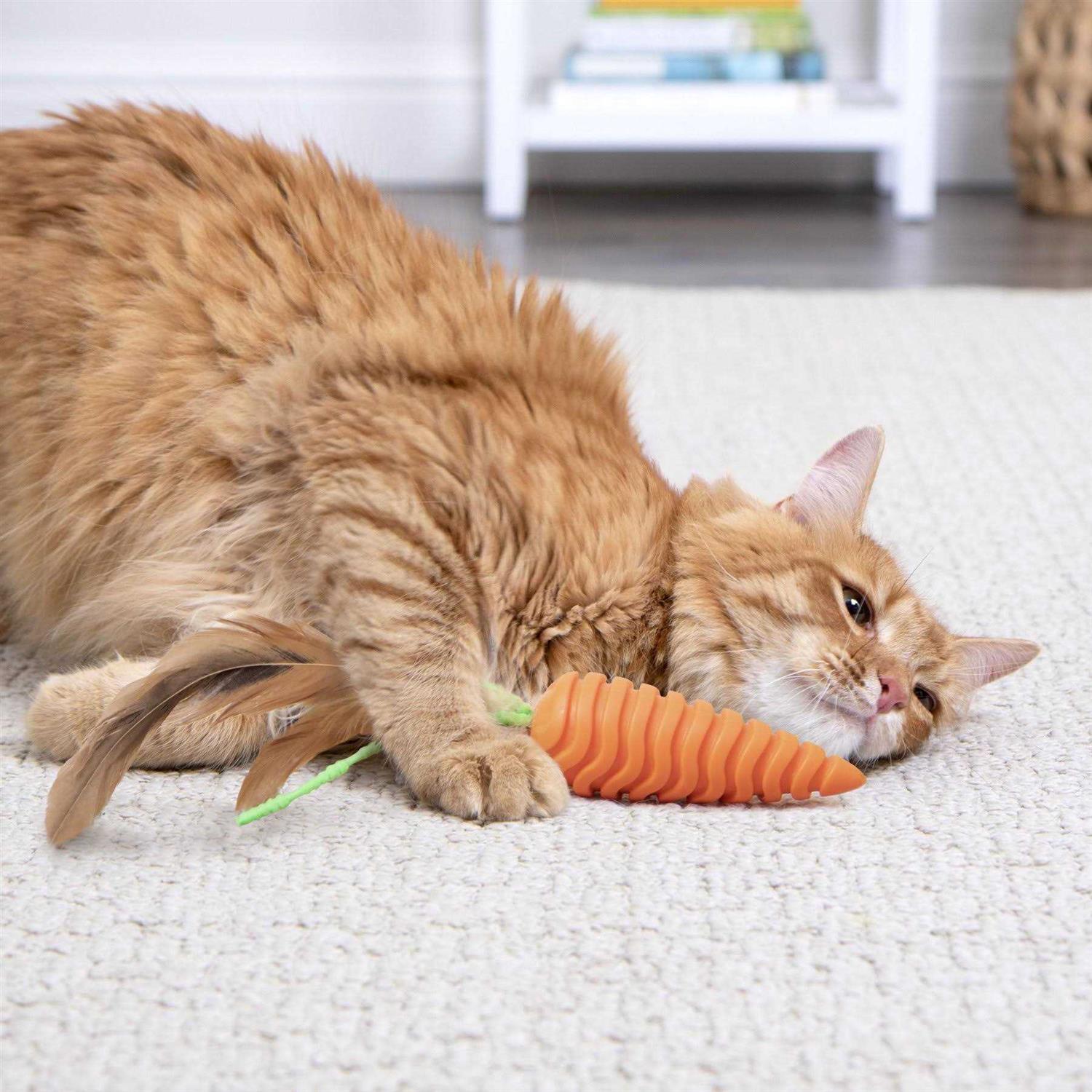 Cat Grooming Toy K257444