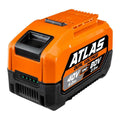 80V 2.5 Ah and 40V 5.0 Ah Lithium-Ion Battery Y61799