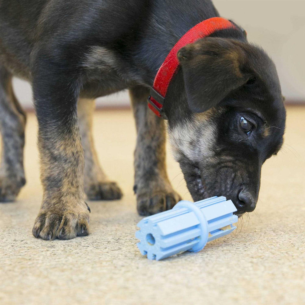 Puppy Teething Stick Dog Toy D914421