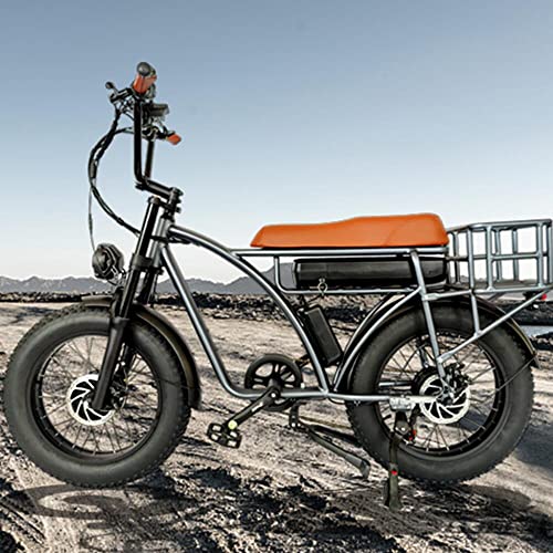 Dual Motor 2000W Retro Two-Person Electric Bicycle, 7-Speed 20" Tire 48V 18Ah E-Bike with Rear Turn Signal Z144