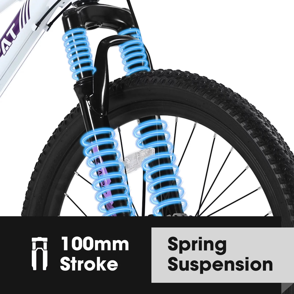 24 inch Mountain Bike with 21 Speeds Gear and Dual Disc Brakes M69189