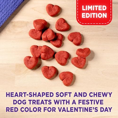 18 Ounce Soft & Chewy Dog Treats P821