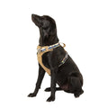 Lightweight Dog Harness X1098