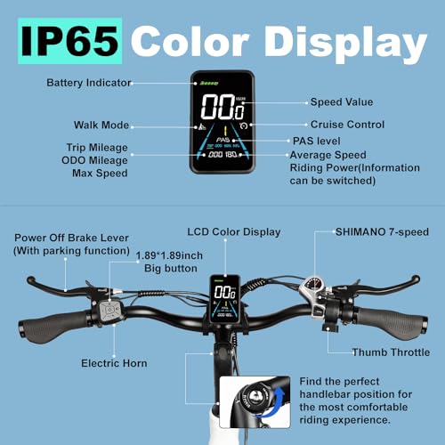 Electric Trike 20" Fat Tire 750W 48V 31.5Ah Removable Dual Battery 3 Wheel Electric Bicycle with Large Basket N181860
