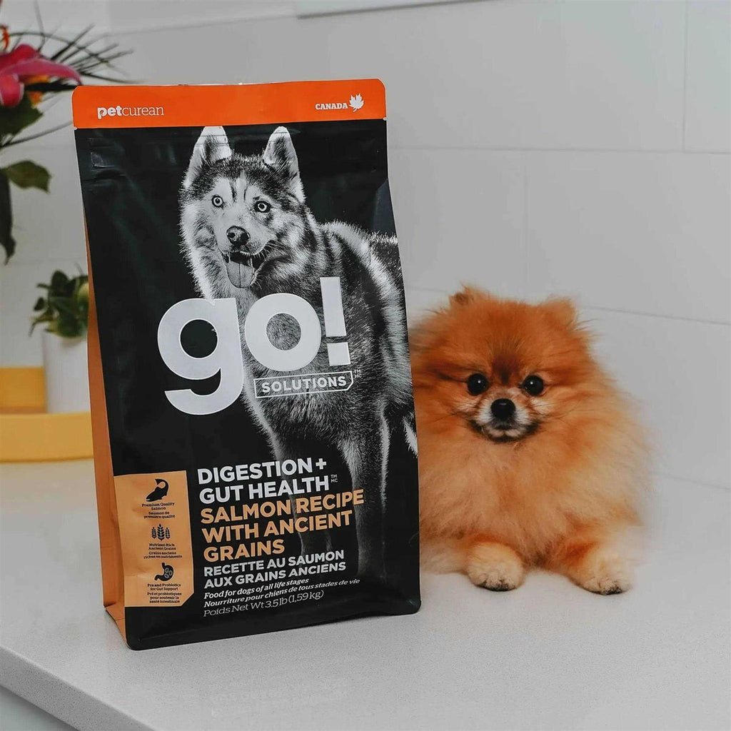 Salmon Recipe with Ancient Grains Dog Food P76259