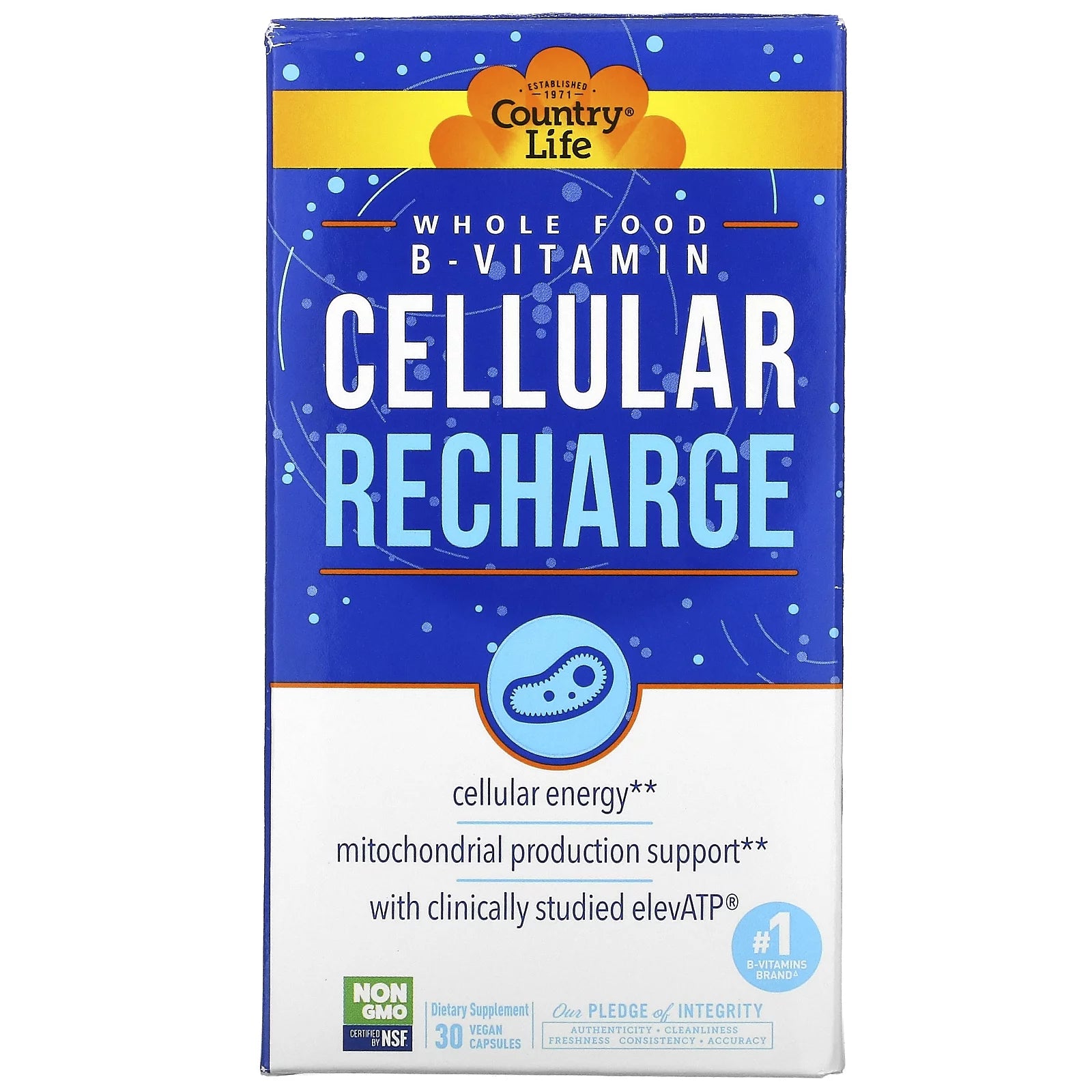 30 Vegan Capsules B-Vitamin F727