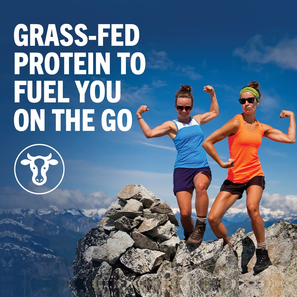 11 Fl Oz Pack of 12 Organic Whey Protein Shake U896151