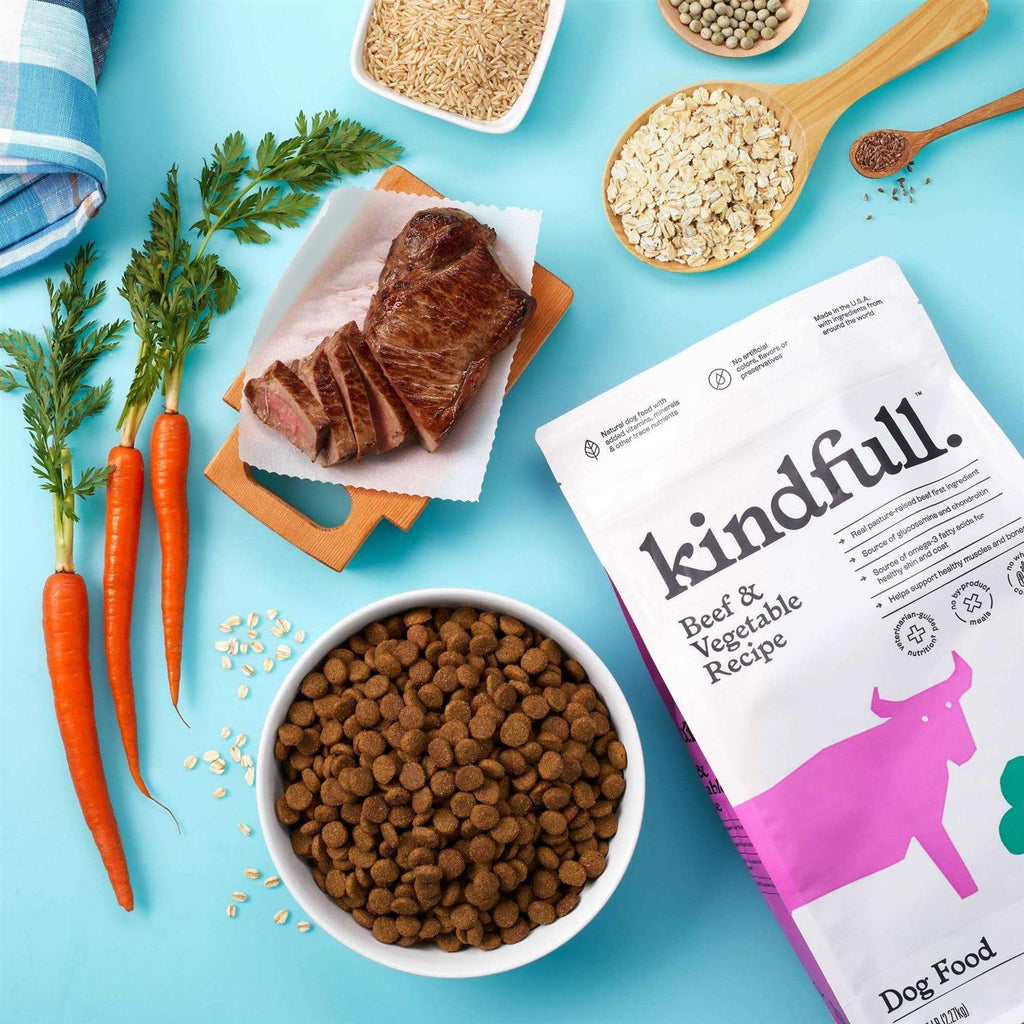Beef and Vegetable Recipe Dry Dog Food P293228