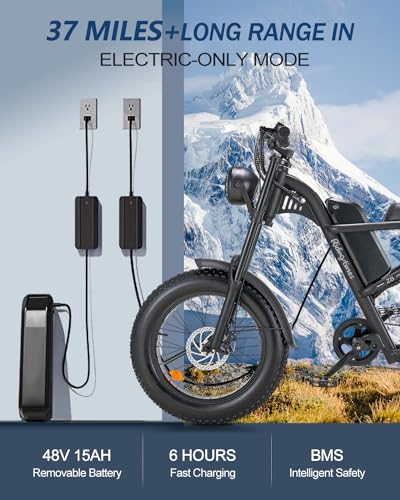 1500W Moped Style Electric Bike, 20 Inch Fat Tire, 6-Layer Full Suspension Ebike, 15.6AH Removable Battery J439108