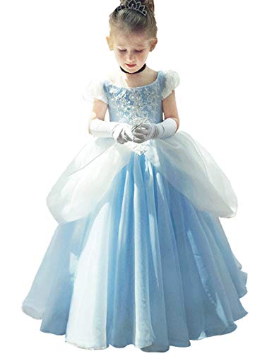 Cinderella Costume Princess Dress Up Ball Gown I678
