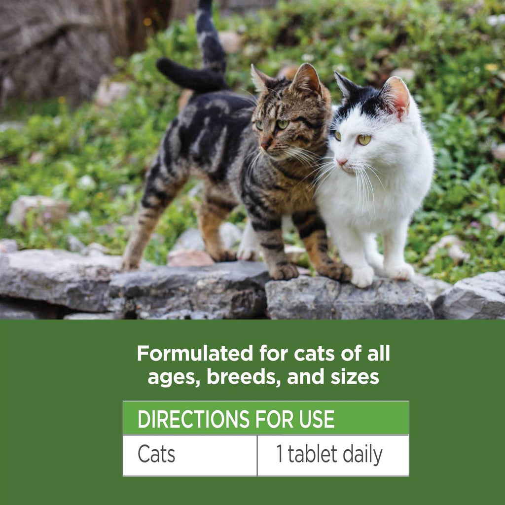 120 ct Oral Flea & Tick Chews for Cats Q38591