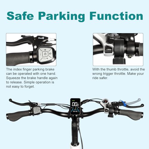 Electric Trike 20" Fat Tire 750W 48V 31.5Ah Removable Dual Battery 3 Wheel Electric Bicycle with Large Basket N181860